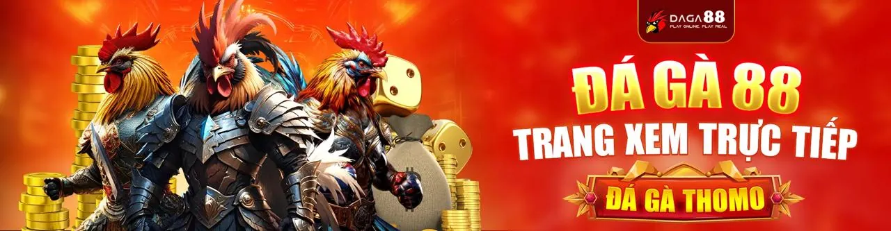 Giao diện ứng dụng 798bet với các tính năng cá cược và giải trí