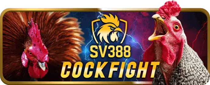 Hình ảnh minh họa cho câu hỏi thường gặp về 798bet App